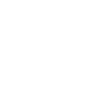 Logo de A.I. Diagiamini